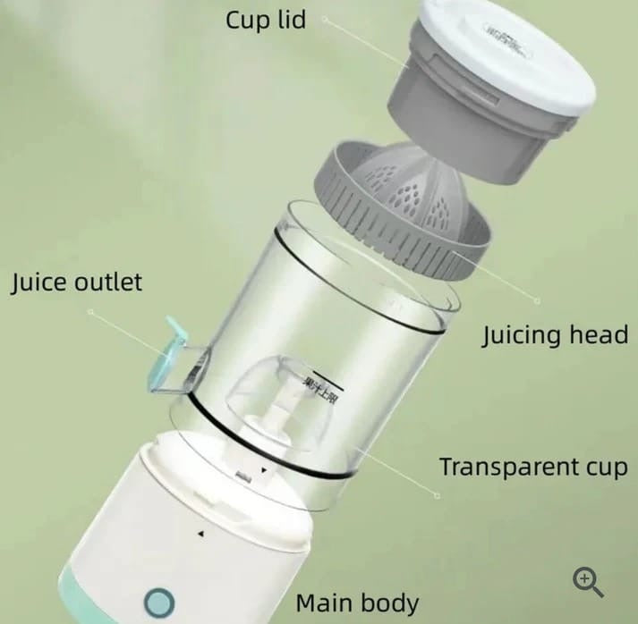 Electric juicer